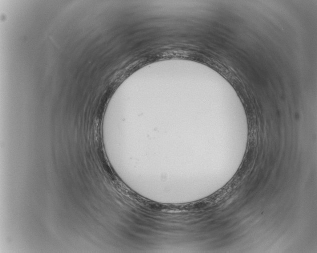 X0000061140649200512091935