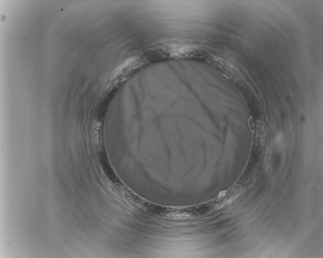 X0000061140650200512091935