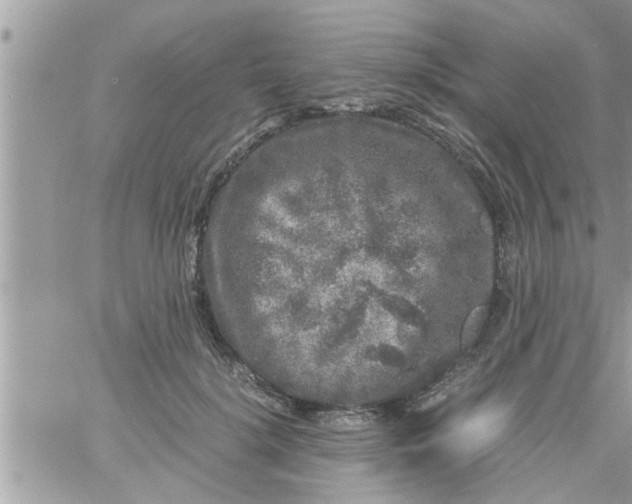 X0000061140652200512091935