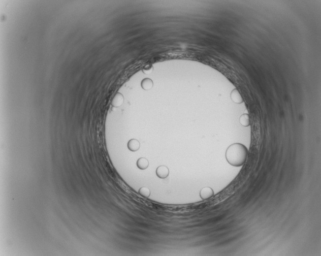 X0000061140653200512091935