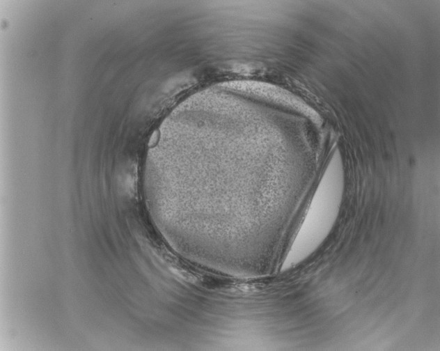 X0000061140656200512091935