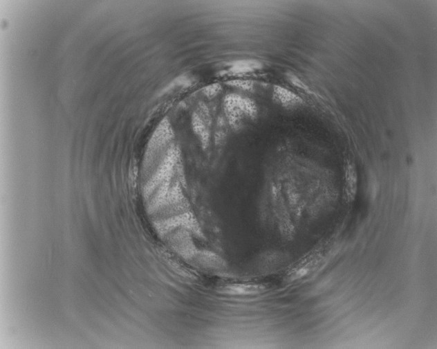 X0000061140657200512091935