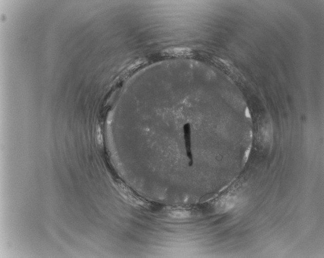 X0000061140658200512091935