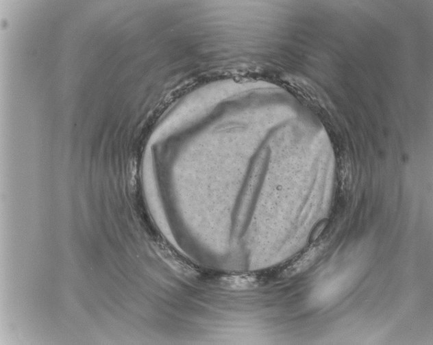 X0000061140660200512091935