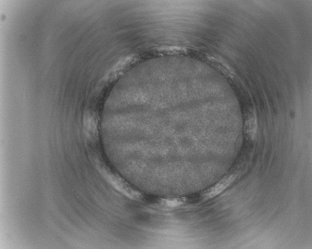 X0000061140662200512091935