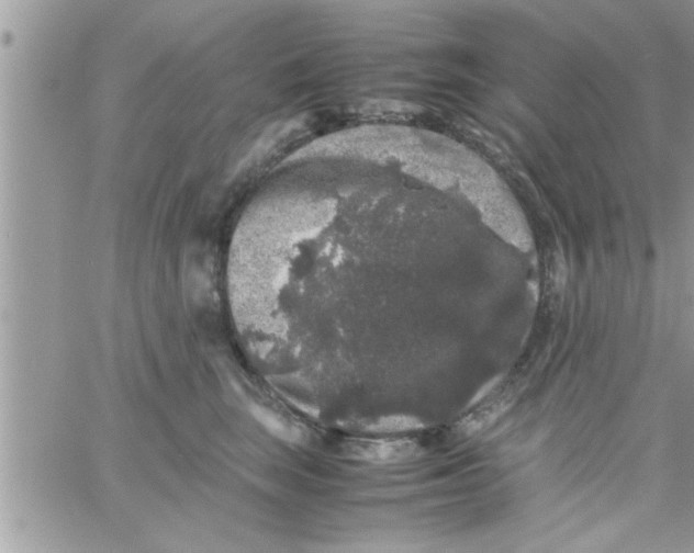 X0000061140663200512091935