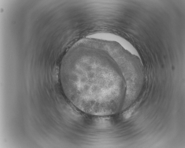 X0000061140664200512091935