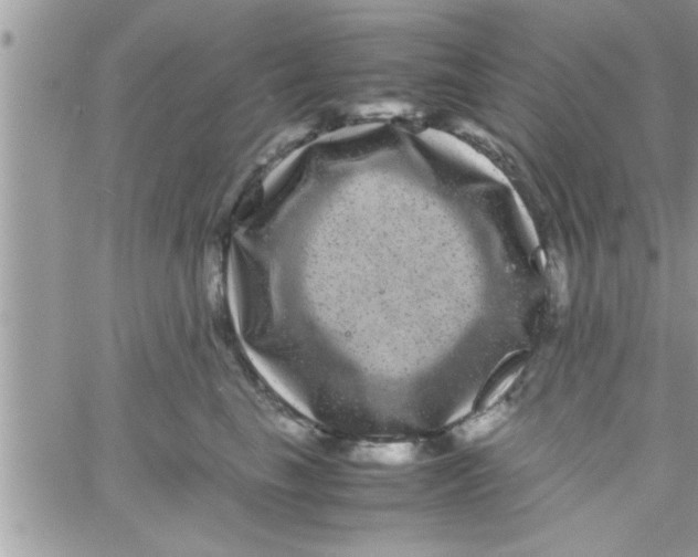 X0000061140665200512091935