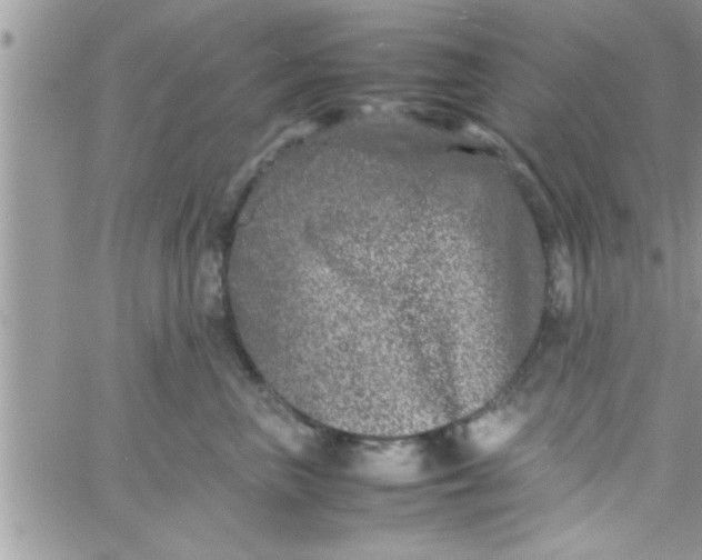 X0000061140667200512091935