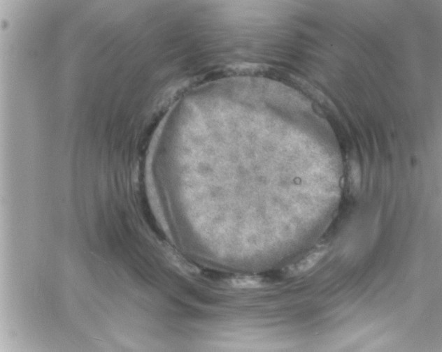 X0000061140668200512091935