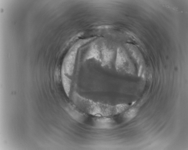 X0000061140669200512091935