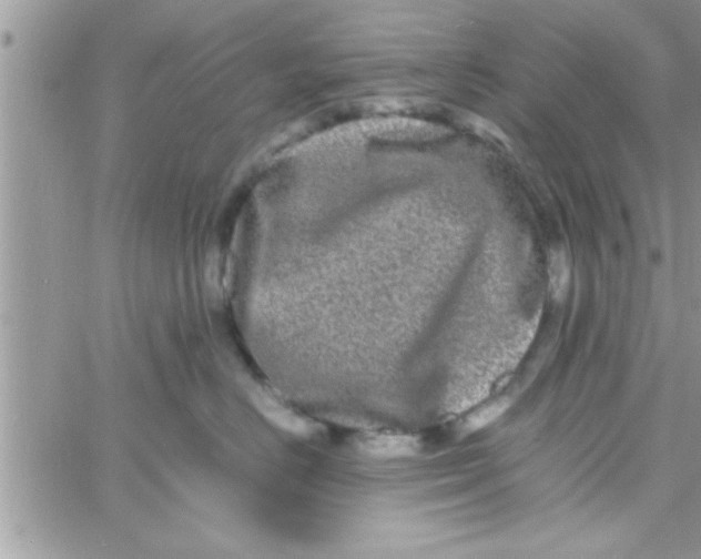 X0000061140670200512091935