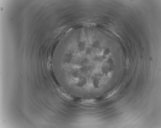 X0000061140671200512091935