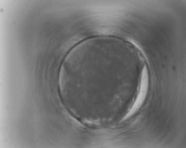 X0000061140673200512091934