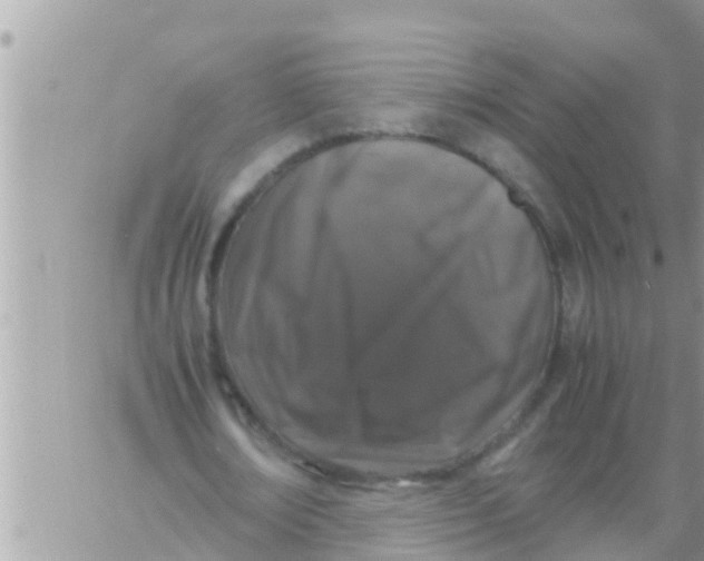 X0000061140674200512091934