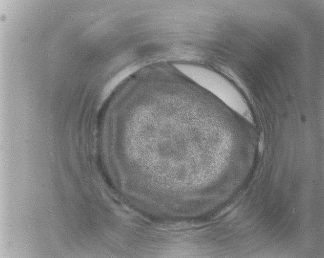 X0000061140675200512091934