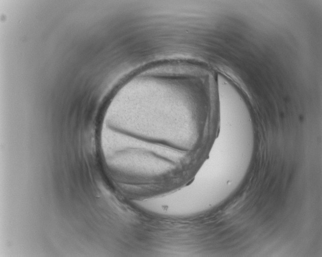 X0000061140676200512091934