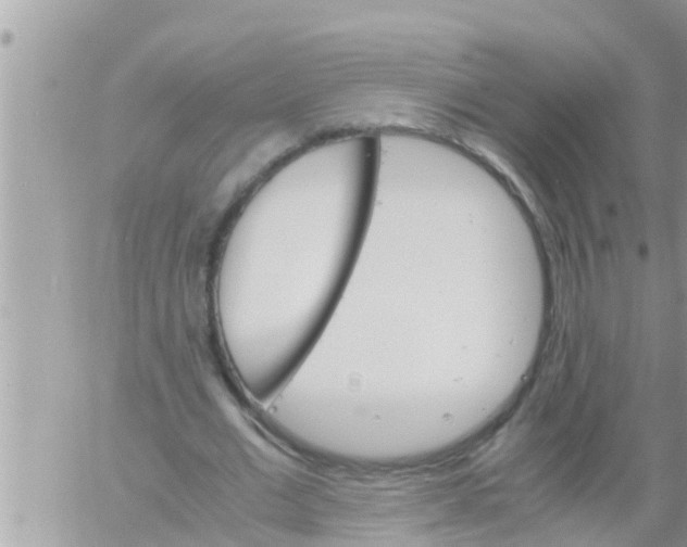 X0000061140677200512091934