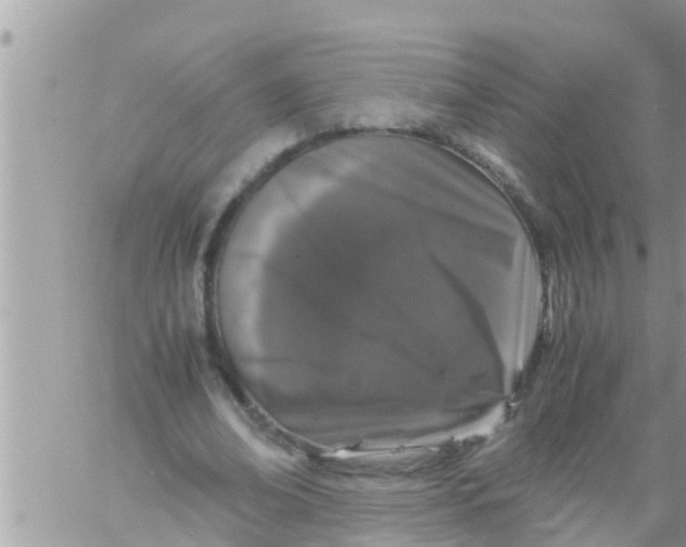 X0000061140678200512091934