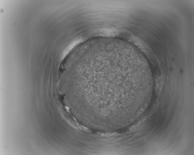 X0000061140679200512091934