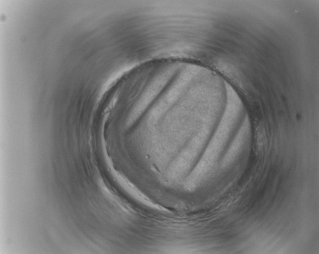 X0000061140680200512091934