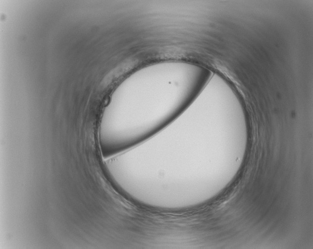 X0000061140681200512091934