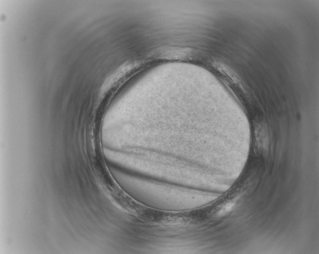 X0000061140682200512091934