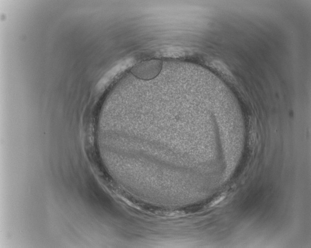 X0000061140683200512091934