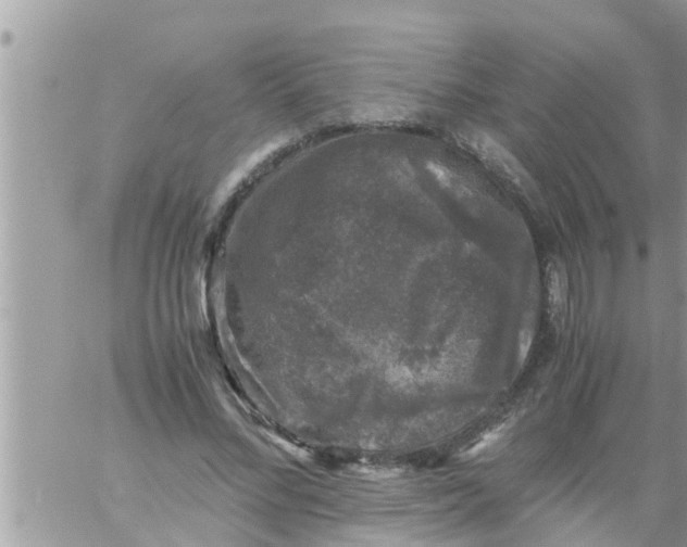 X0000061140684200512091934