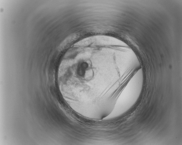 X0000061140685200512091934