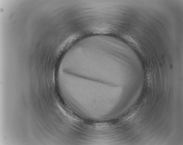 X0000061140686200512091934