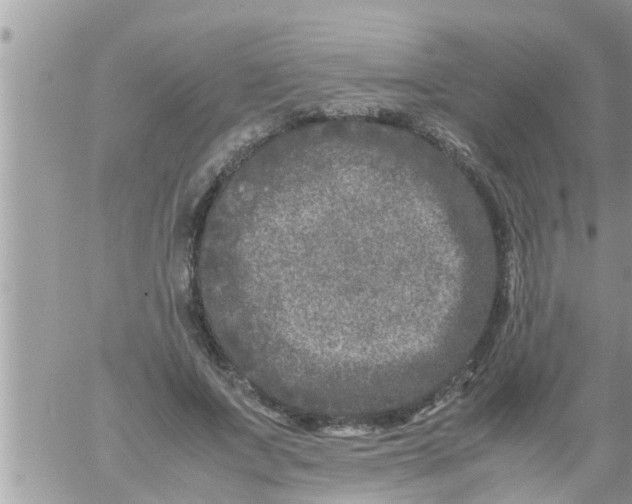 X0000061140687200512091934