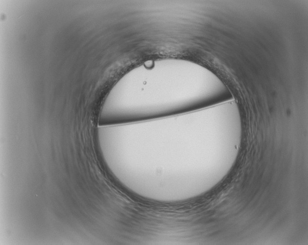 X0000061140689200512091934