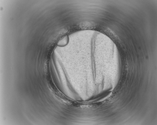 X0000061140690200512091934