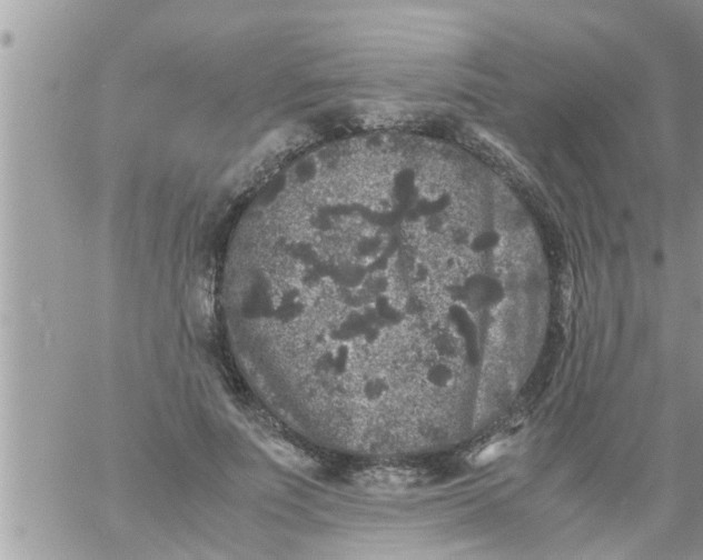 X0000061140691200512091934