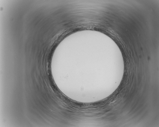 X0000061140693200512091934