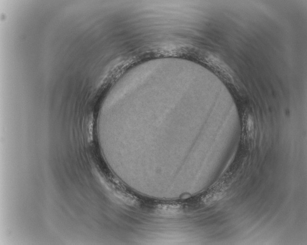 X0000061140694200512091934