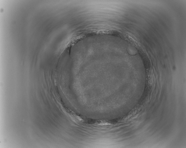 X0000061140695200512091934