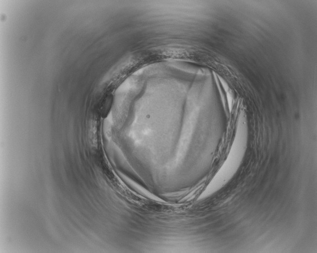 X0000061140696200512091934