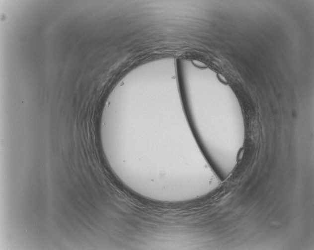 X0000061140697200512091934