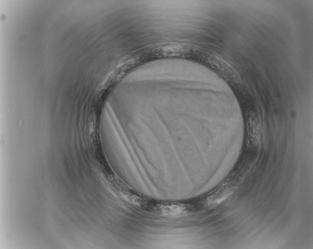 X0000061140698200512091934