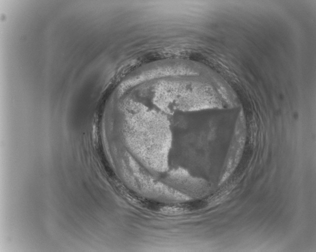 X0000061140699200512091934