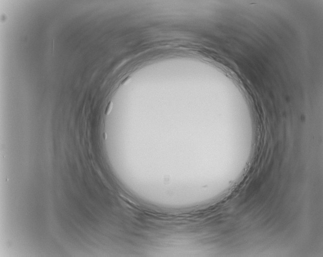 X0000061140701200512091934