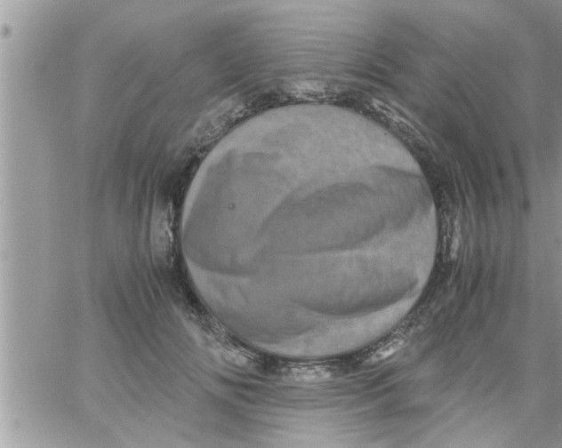 X0000061140702200512091934