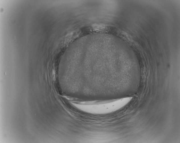 X0000061140703200512091934