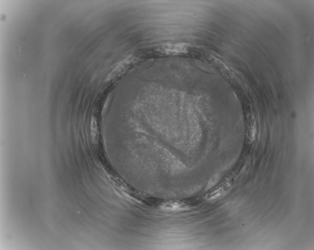 X0000061140704200512091934