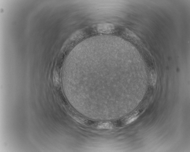 X0000061140705200512091934