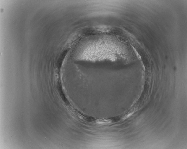 X0000061140707200512091934