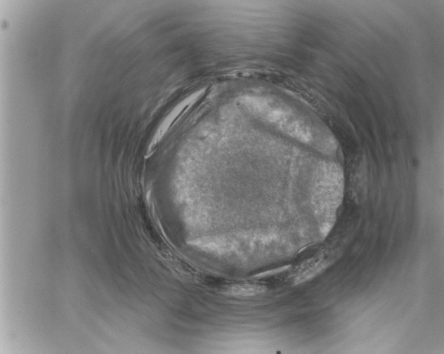 X0000061140708200512091934