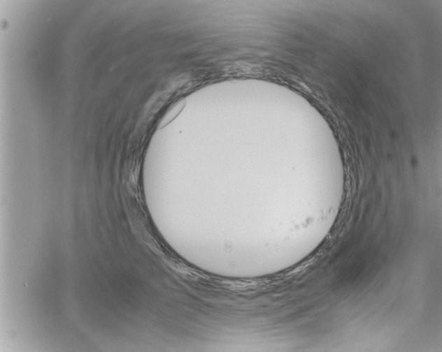 X0000061140709200512091934